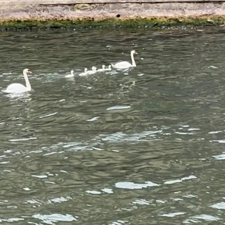 Kyriad Rouen Sud - Oissel Hotell