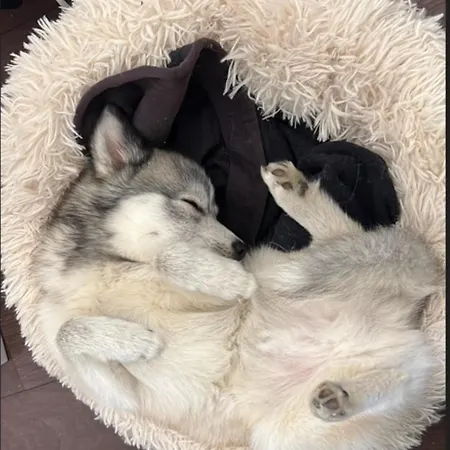 Hotel Kyriad Rouen Sud - Oissel Saint-Étienne-du-Rouvray