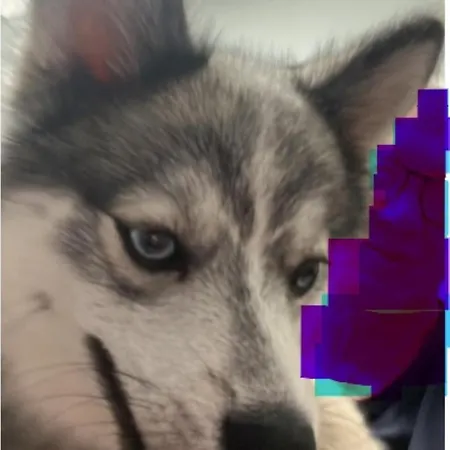 Kyriad Rouen Sud - Oissel Hotell