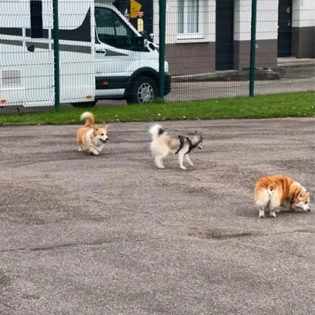 Kyriad Rouen Sud - Oissel Hotel Saint-Étienne-du-Rouvray