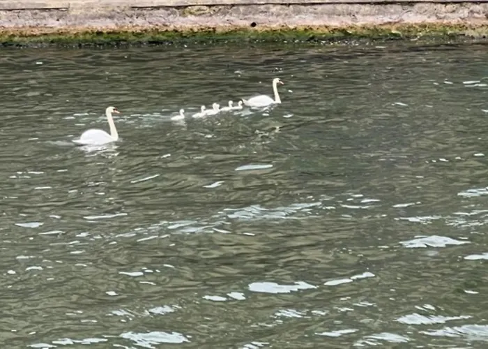 Kyriad Rouen Sud - Oissel Hotel