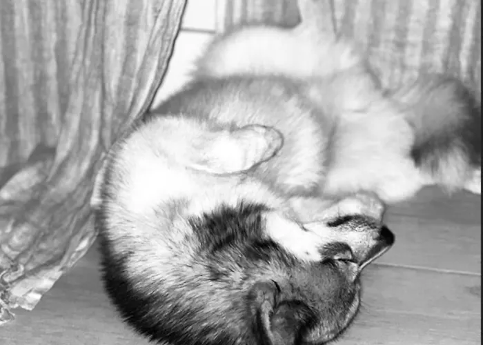 Kyriad Rouen Sud - Oissel 3*