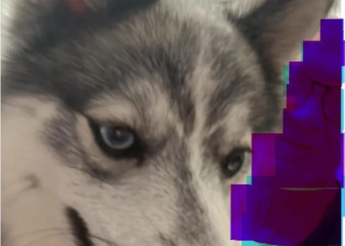 Kyriad Rouen Sud - Oissel Hotel