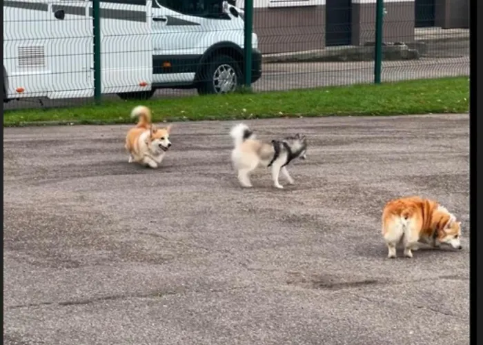 Kyriad Rouen Sud - Oissel Hotel Saint-Etienne-du-Rouvray